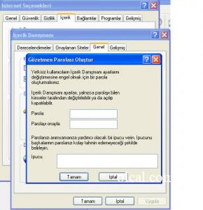 internet explorer'a şifre koyma