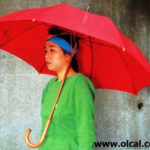 japonlar-yapmis-1