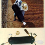 japonlar-yapmis-3