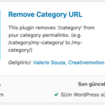 Remove Category URL