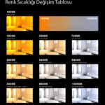 beyaz-dengesi-nikon-5