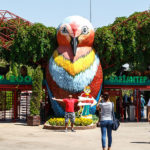 gaziantep-hayvanat-bahcesi-gezisi