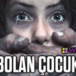 Wayfair